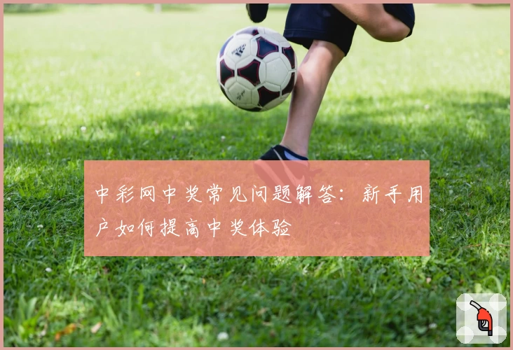 中彩网中奖常见问题解答：新手用户如何提高中奖体验