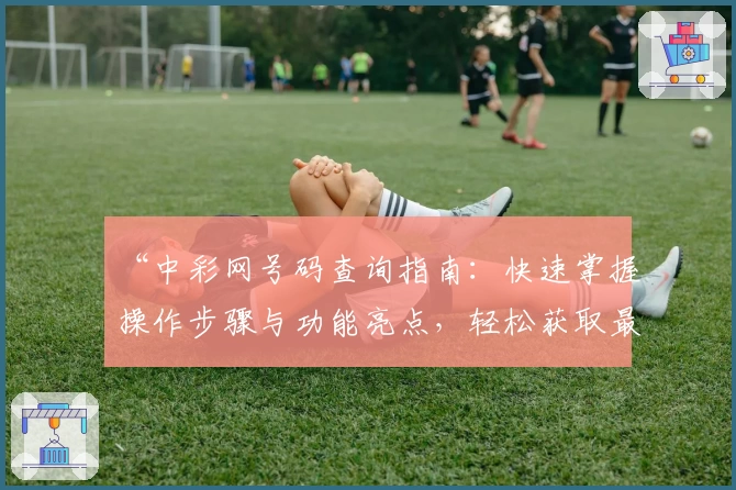 “中彩网号码查询指南：快速掌握操作步骤与功能亮点，轻松获取最新数据”