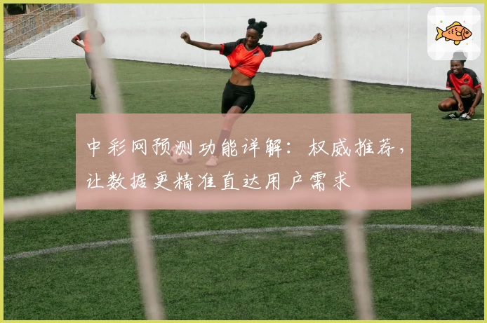 中彩网预测功能详解：权威推荐，让数据更精准直达用户需求