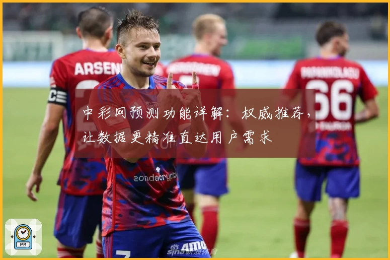 中彩网预测功能详解：权威推荐，让数据更精准直达用户需求
