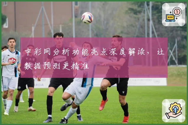 中彩网分析功能亮点深度解读，让数据预测更精准