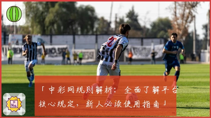 「中彩网规则解析：全面了解平台核心规定，新人必读使用指南」